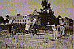 원예 치료 1953